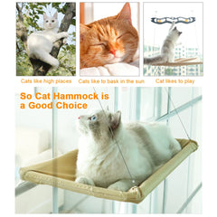 Pet Hammock