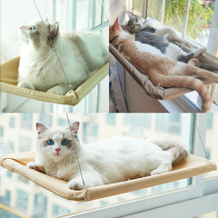 Pet Hammock