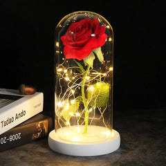 LED Eternal Rose