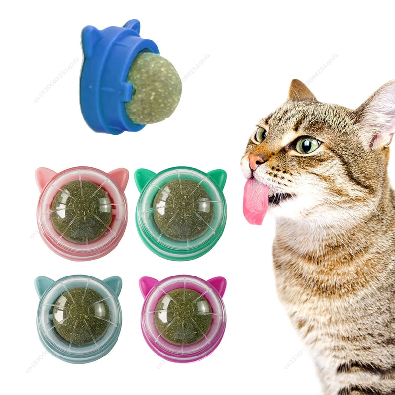 Catnip Wall Ball