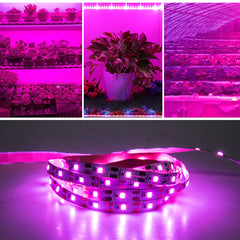 Full Spectrum LED Strip